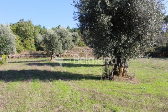 Terreno para construção no Pereiro