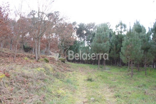 Quintinha em Couto de Baixo