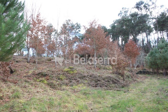 Quintinha em Couto de Baixo