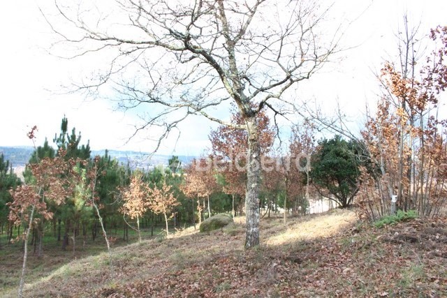 Quintinha em Couto de Baixo