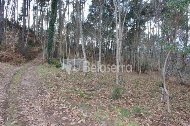 Quintinha em Couto de Baixo