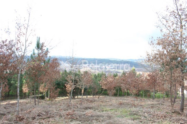 Quintinha em Couto de Baixo