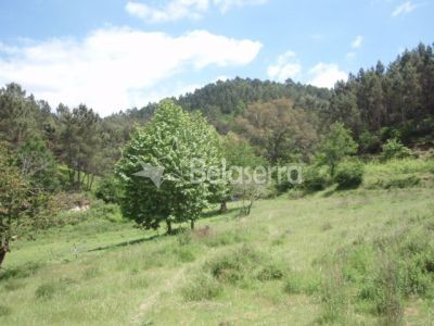 Quinta do Aziral em Sandomil