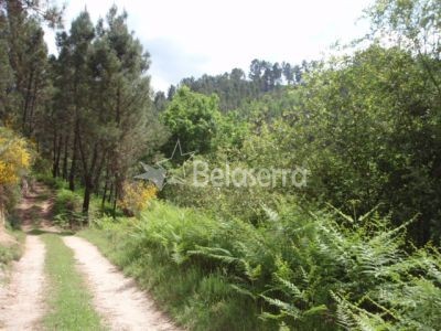 Quinta do Aziral em Sandomil