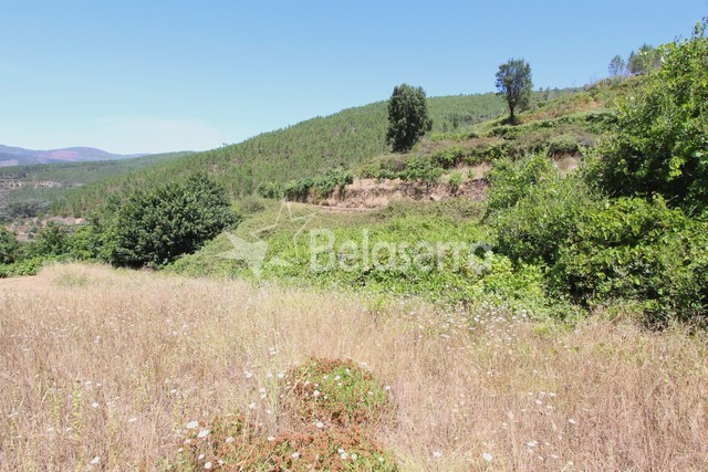 Terreno em Baloquinhas