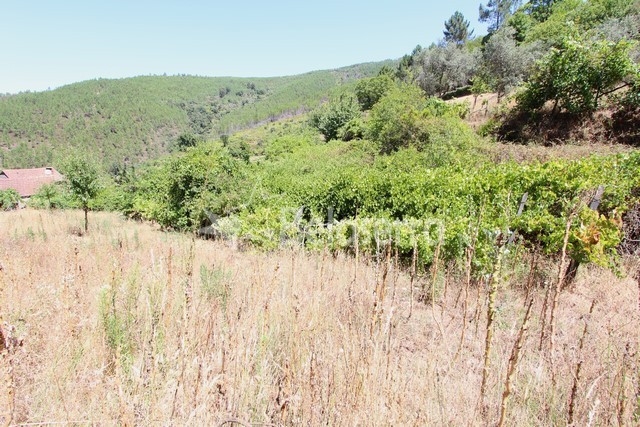 Terreno em Baloquinhas
