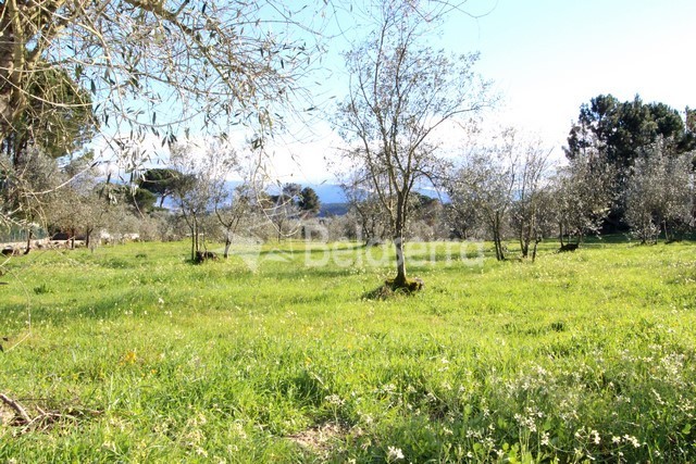 Quinta em Vila Verde