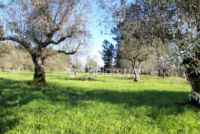 Quinta em Vila Verde