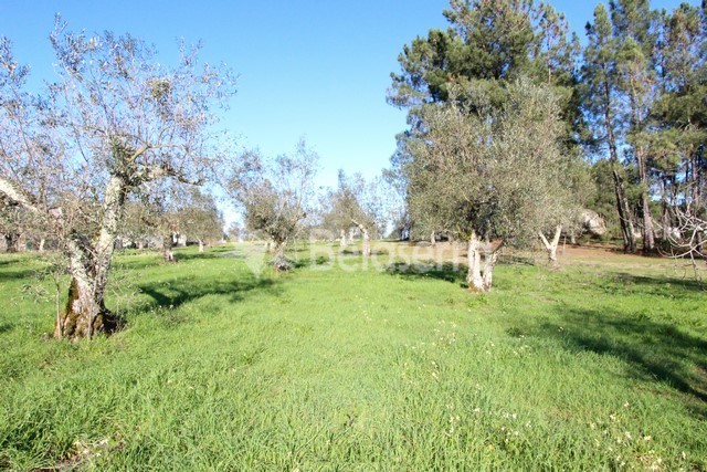 Quinta em Vila Verde