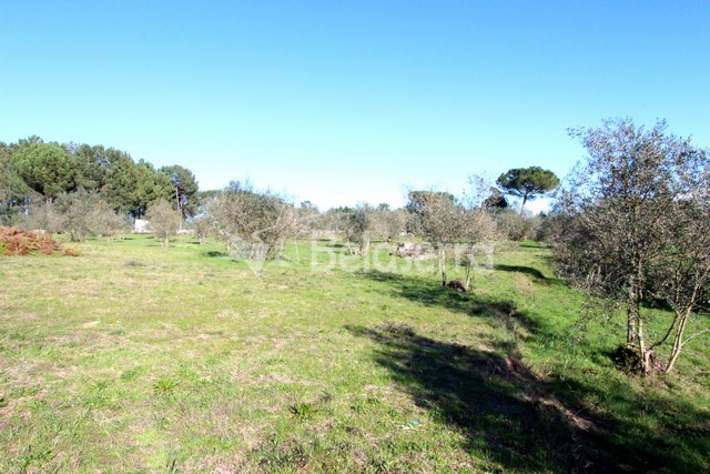 Quinta em Vila Verde
