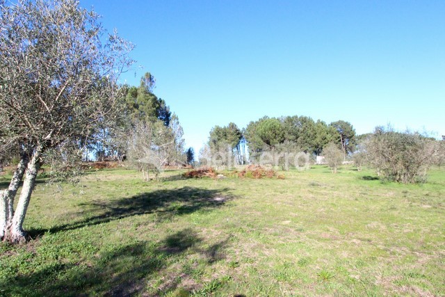Quinta em Vila Verde