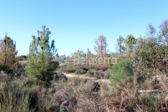 Quinta em Vila Verde