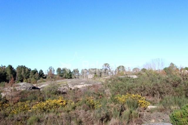 Quinta em Vila Verde