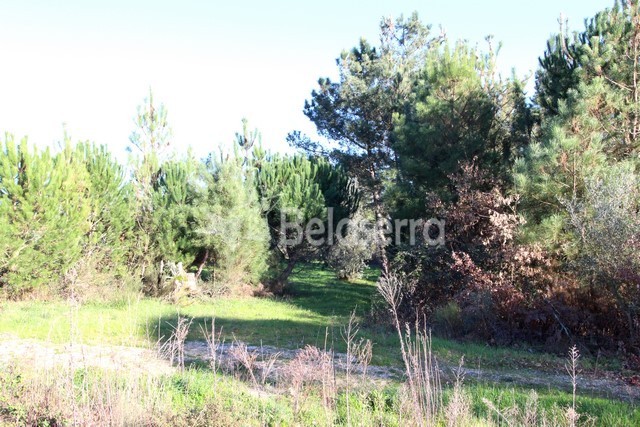 Quinta em Vila Verde