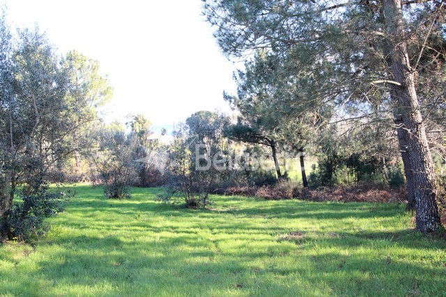 Quinta em Vila Verde