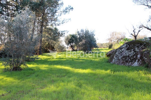 Quinta em Vila Verde