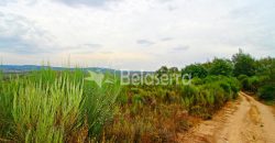 Terreno em Ribamondego