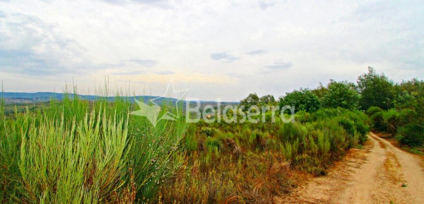 Terreno em Ribamondego