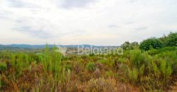 Terreno em Ribamondego