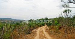 Terreno em Ribamondego