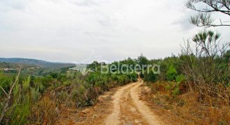 Terreno em Ribamondego