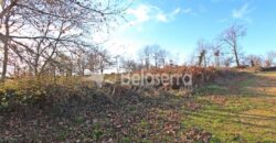 Terreno na Vila Chã – Seia