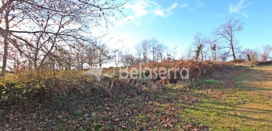 Terreno na Vila Chã – Seia