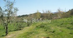 Quinta 11.403m2