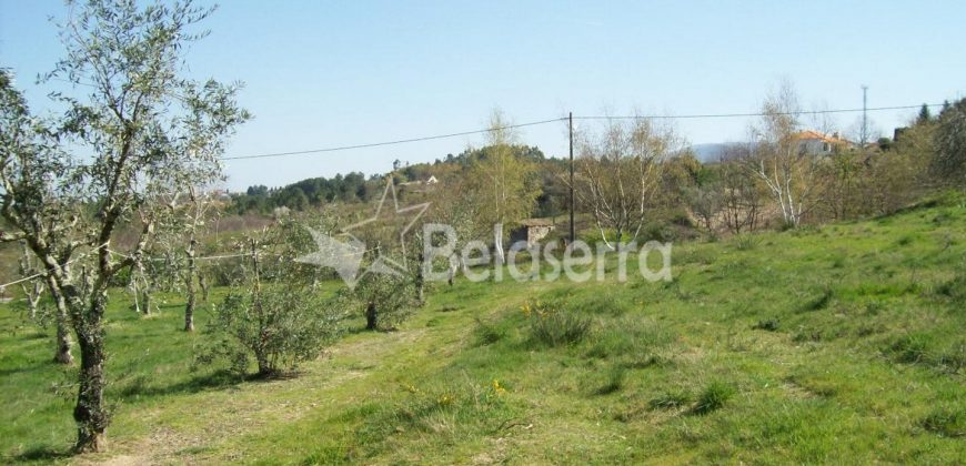 Quinta 11.403m2