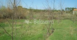 Quinta 11.403m2