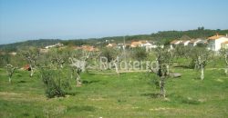 Quinta 11.403m2