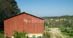 Quinta 11.403m2