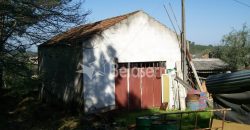 Quinta 11.403m2