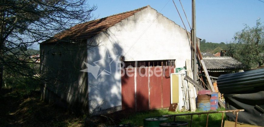 Quinta 11.403m2