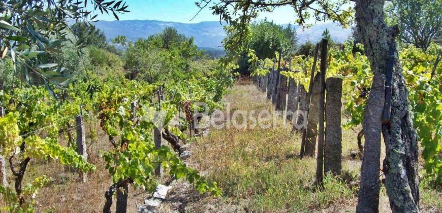 Terreno em Rio Torto