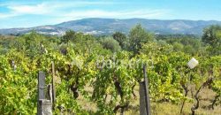 Terreno em Rio Torto