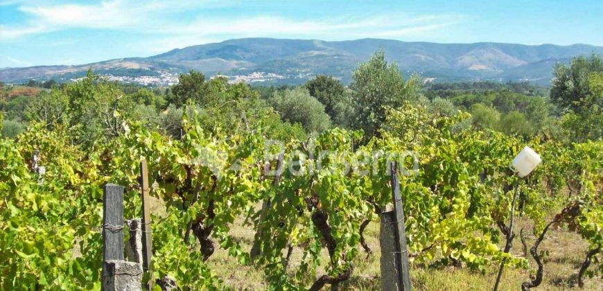 Terreno em Rio Torto