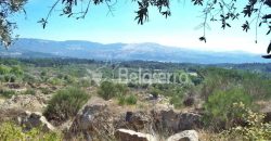 Terreno em Rio Torto