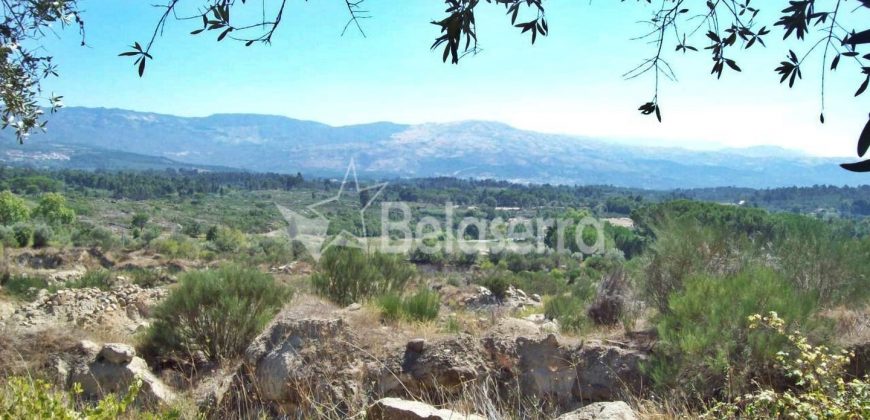 Terreno em Rio Torto
