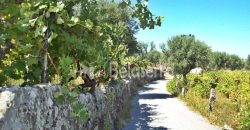 Terreno em Rio Torto