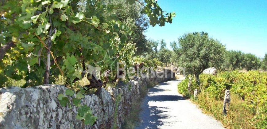 Terreno em Rio Torto
