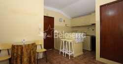 Apartamento T1, mobilado e equipado