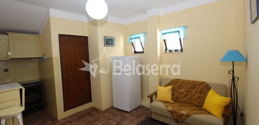 Apartamento T1, mobilado e equipado