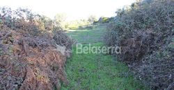 Moradia e terrenos – V.N.Tázem