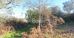 Moradia e terrenos – V.N.Tázem