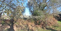 Moradia e terrenos – V.N.Tázem