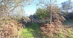 Moradia e terrenos – V.N.Tázem