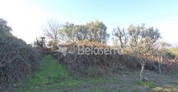 Moradia e terrenos – V.N.Tázem