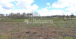 Terreno em Vila Verde