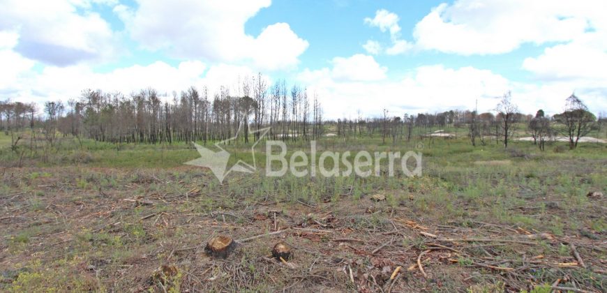 Terreno em Vila Verde